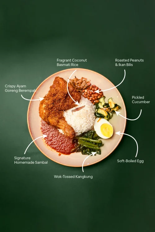 nasi lemak in subang ingredients